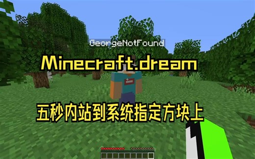 Minecraft Block Shuffle