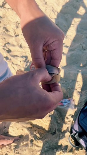 Technique d'eschage du couteau en tandem pour le surfcasting