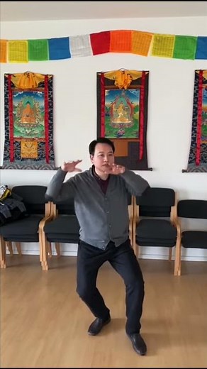 Die goldene Schildkröte taucht in das Wasser ein und aus dem Wasser auf (Qigong-Übung)