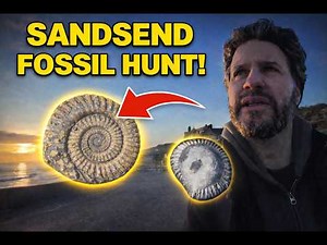 #fossilhunting at Sandsend, Whitby - low tide rockpooling for jurassic fossils