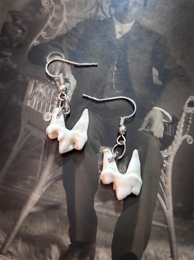 Real Opossum Molar Teeth Earrings, Ethically Sourced Bone Jewelry - Etsy