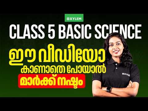 Class 5 Basic science | ഈ വീഡിയോ കാണാതെ പോയാൽ മാർക്ക് നഷ്ടം !!!| Xylem Class 5