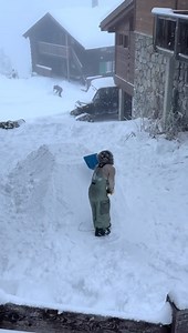 When freedom leads you to Switzerland