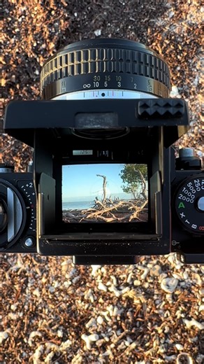 Exploring the Nikon F3: A Film Photography Journey