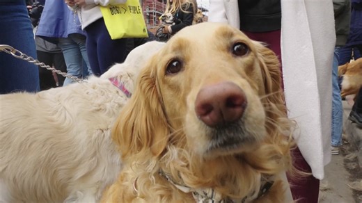 Golden, Colorado holds Goldens in Golden event