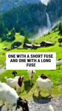 LAUGH OUT LOUD with These Hilarious Jokes! #funnyjokes #funny #comedy #lol #relatable #jokes