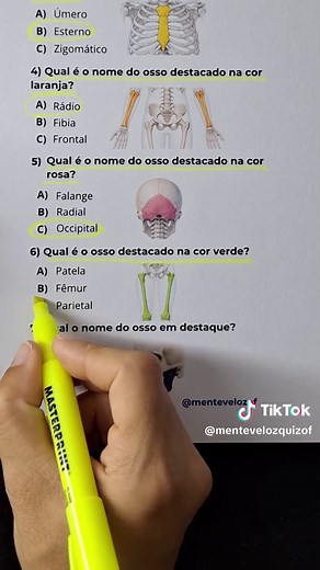 Quiz de Anatomia: Teste seus Conhecimentos sobre Ossos