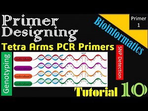 How to Design Tetra ARMS PCR Primers | Tutorial 10