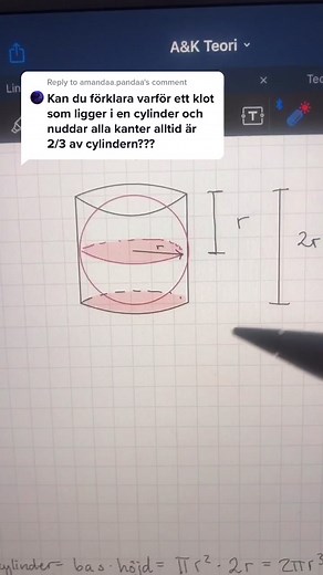 Eleonora Svanberg på TikTok