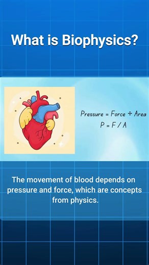 Biophysics Explained in 60 Seconds: Energy, Force, and Life #biology #shorts