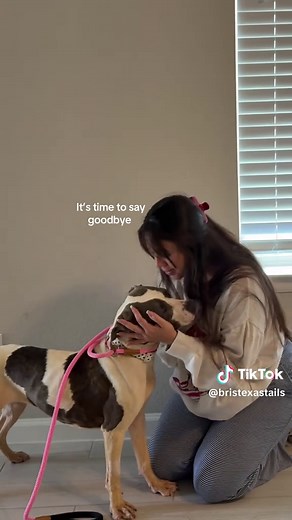 Nola’s Adoption Day: Foster Dog’s 37-Day Transformation to a Loving Home