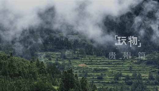 玩物近话论——遇见贵州