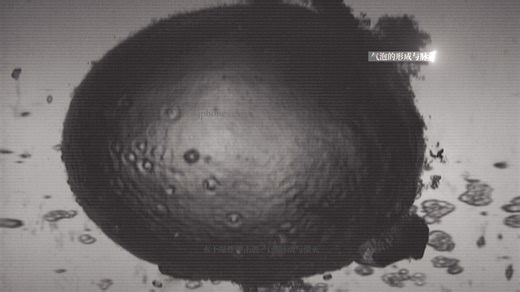 水下爆炸冲击波-气泡脉动与溃灭🧨