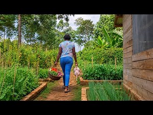 First time cooking in my new kitchen | Farm-to-table meal | Garden harvest