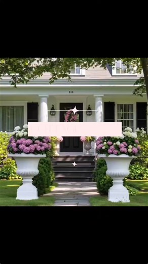 A short stroll through the prettiest southern cottage… full of gentle light, chippy charm, and cozy corners that whisper “welcome home.” 🌿🏡✨ 𓅪𓅪 #RusticTuesday #CottageHomeTour #SouthernCharm #FarmhouseStyle #ChippyDetails #VintageVibes #HomeInspiration #CollectedAndCozy | 𝚛𝚞𝚜𝚝𝚒𝚌 𝚝𝚞𝚎𝚜𝚍𝚊𝚢