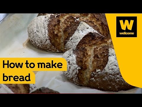 The science behind how to make bread | Wellcome