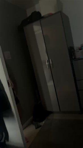 Funny Cat Dance Compilation to Brighten Your Day