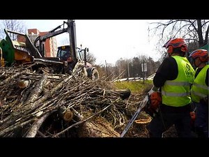 INSANE Tree Removal! Giant Wood Chipper Devours Poplars by the Road 🚜🔥