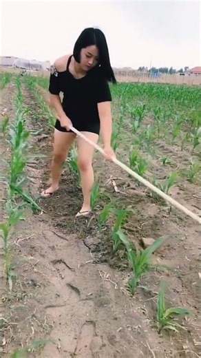 Amazing farm hoe From Agriculture sector #satisfying #shorts