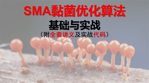 【智能优化算法】SMA黏菌优化算法基础与实战，附原理讲义及实战代码，机器学习基础必看