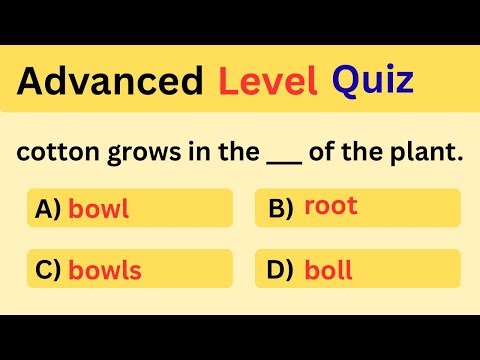 MCQ on English Grammar Collocations – Test Common Word Combinations | Vocabulary Quiz with Answers