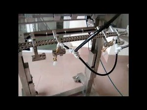 Fully Automatic Clam Shell Dual Denester - ABI System