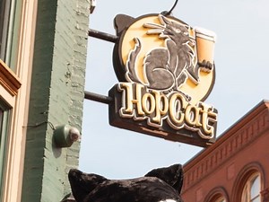 New Hopcat Opening In Metro Detroit This Spring