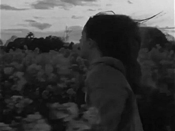 Em ơi... #nhacchillmoingay #nghenhacmoingay #tamtrang #buon #chill