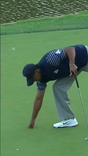 Anything you can do I can do BETTER! 🤯