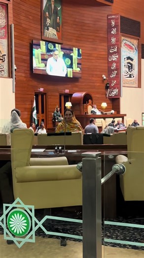 PPP's MPA in Sindh Assembly: Key Highlights