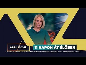 Válts TV2 Play Zéróra és kövesd élőben a tavaszi szünetben a TV2 adását a TV2 Play-en!