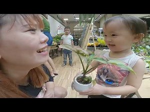 CHIPPY Siêu Quậy Cùng Ba Mẹ MẸ RAU giảm cân - TĂNG CÂN THỊT | ,CP