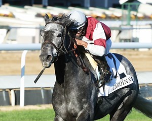122K views · 2.7K reactions | ️ REPLAY: Congrats to the connections of STAR FORTRESS on her win The $300,000 Cardinal Stakes! Jockey: Luis Saez Trainer: Cherie DeVaux Racing Owner: John D Gunther and Eurowest Bloodstock Services | Churchill Downs | Facebook