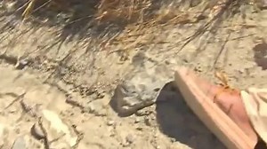 Sefkat Tepe - 33 Bolum Sahin Yetisiyor