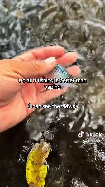 Pretty valid honestly #fishing #fishingtiktoks #fisherman #foryou #fishtok