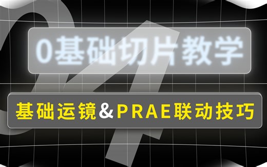 [切片零基础教学]基础运镜 | PRAE联动注意事项