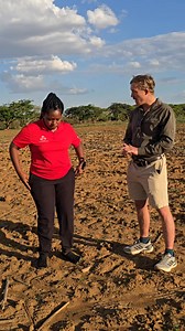 2.3K views · 115 reactions | REGENERATIVE AGRICULTURE, It's Benefits and progression over time unpacked by SeedCo Zambia's Commercial Agronomist Philip Chalcraft At the SeedCo Zambia AGRONOMY Center of Excellence sections Regenerative Agriculture block in Lusaka West, were crop expression is optimized. | Wendy Madzura | Facebook