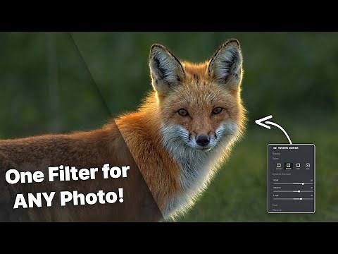 The Must-Have Filter EVERY Photo Needs - Dynamic Contrast in ON1 Photo RAW