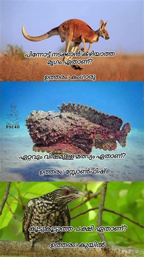 psc general questions #psctips #generalknowledgequiz #generalknowledge #pscpranthancurrentaffairs