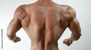 Muscular bodybuilder man standing, shirtless, showing chiselled torso, abs and pecs on white background in studio shot