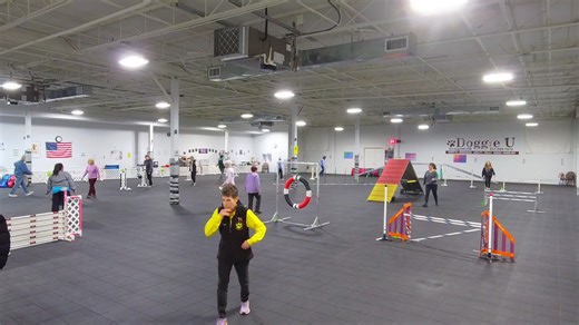 DACLI AKC Agility Trial 1/10/26 at DoggieUK9. Excellent/Master Standard Doggie U K9 Academy | Doggie U K9 Academy