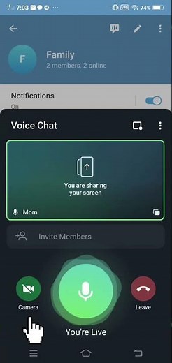 How to watch telegram movies together on video call