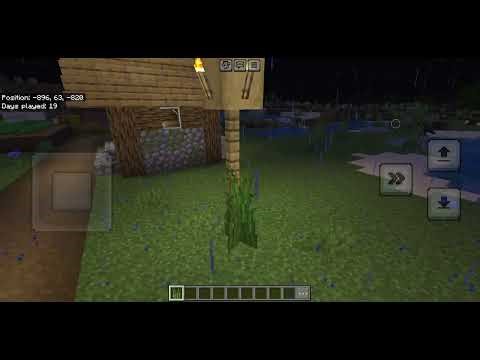 How tall grass really survives in minecraft #games #minecraft #arrasplaysminecraft
