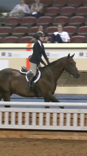 🏆World Show Wednesday🏆 2021 Equitation Over Fences & Working Hunter Youth World Champions - Abigail Hardy and My Secret Past #AQHYAWorld50 #AQHAProud #WorkingHunter #Equitation #QuarterHorse #HorseShowing #horsesoftiktok