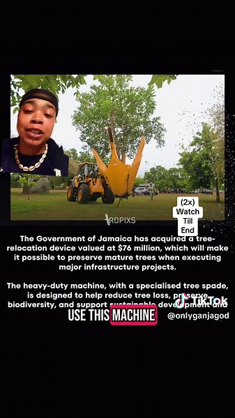 Jamaica's First Tree Removal Machine: A Green Initiative