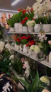 Family Day Out | Burlington Shopping + Breakfast to Dinner | Full Day Vlog #FamilyVlog#Burlington