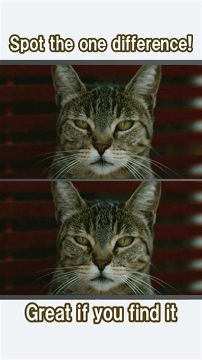 Relaxing but Effective: Attention & Visual Processing Game[Find The Difference]