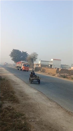 shiny morning beautiful #shortvideo #shorts