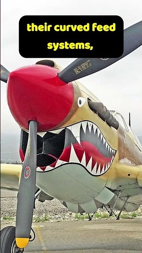 P-40E - The First True Warhawk