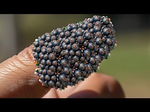 Gentle Finger ASMR for Peaceful Relaxation